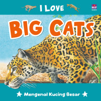 Image of Big Cats : Mengenal Kcing Besar