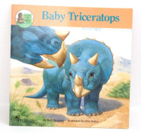 Image of Bayi Triceratops
